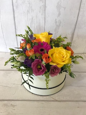 Citrus bright hat box