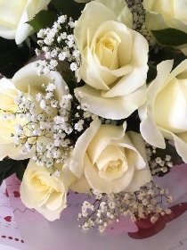 Divine dozen white roses
